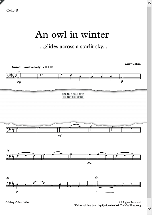 an owl in winter duett 2 st. mary cohen