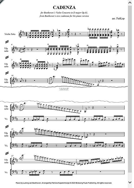 cadenzas to haydn s symphony no.45 ensemble patkop