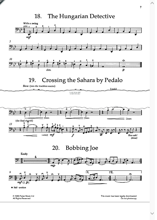 crossing the sahara by pedalo klavier & melodieinstr. ian blake