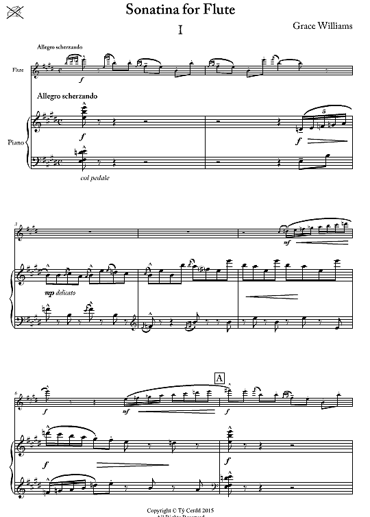 flute sonatina a/k/a sonatina for flute klavier & melodieinstr. grace williams