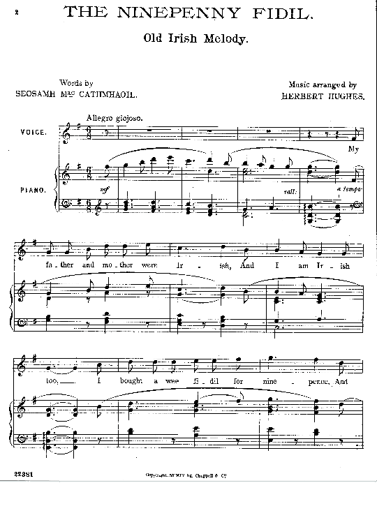 the ninepenny fidil klavier & gesang irish traditional