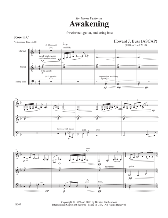 Awakening (Klarinette Gitarre und Kontrabass) (Trio (3 St.)) von Howard J. Buss