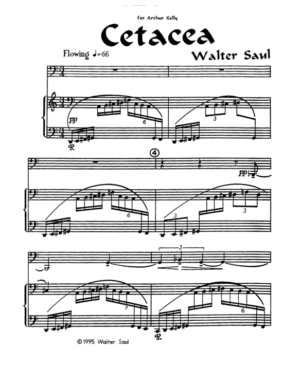 Cetacea (Tuba + Klavier) (Klavier  Tuba) von Walter Saul