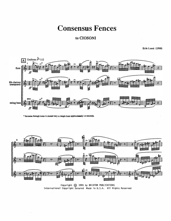 Consensus Fences (Fl te Pikkolo Klarinette Bassklarinette und Kontrabass) (Trio (3 St.)) von Erik Lund