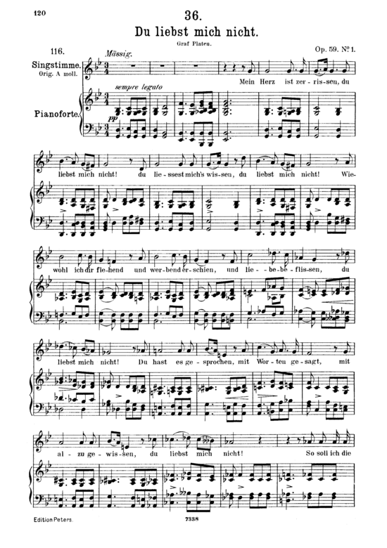 Du liebst mich nicht D.193 (Gesang mittel + Klavier) (Klavier  Gesang mittel) von Franz Schubert