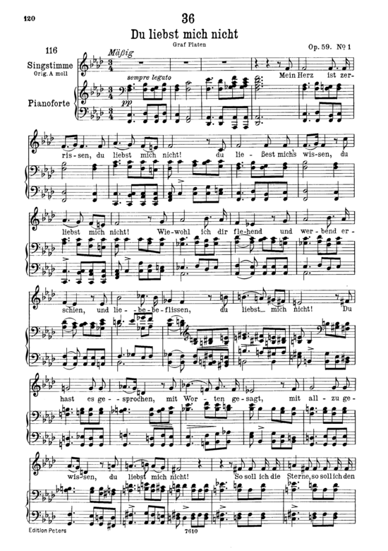 Du liebst mich nicht D.193 (Gesang tief + Klavier) (Klavier  Gesang tief) von Franz Schubert
