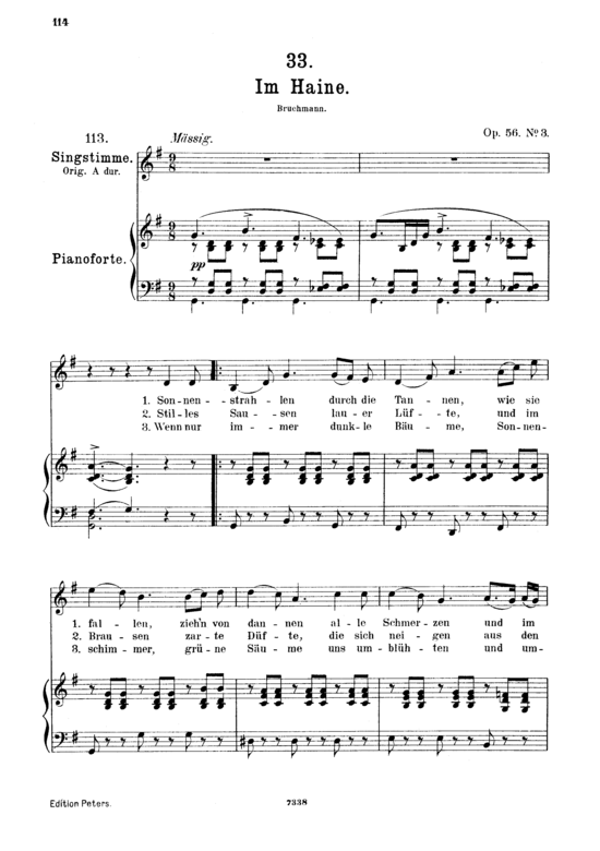 Im Haine D.737 (Gesang mittel + Klavier) (Klavier  Gesang mittel) von Franz Schubert