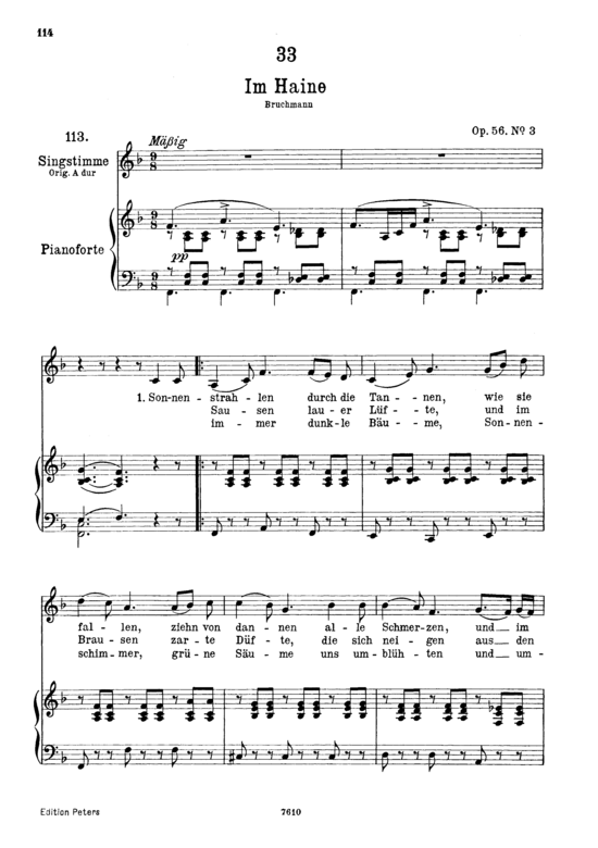 Im Haine D.737 (Gesang tief + Klavier) (Klavier  Gesang tief) von Franz Schubert