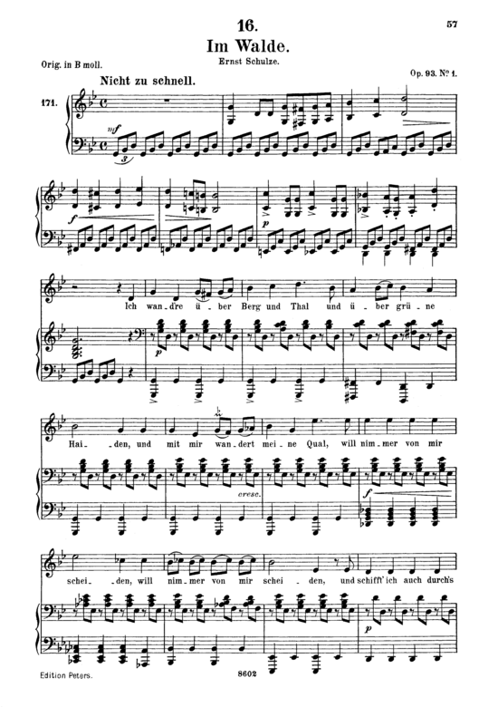 Im Walde D.834 (Gesang mittel + Klavier) (Klavier  Gesang mittel) von Franz Schubert