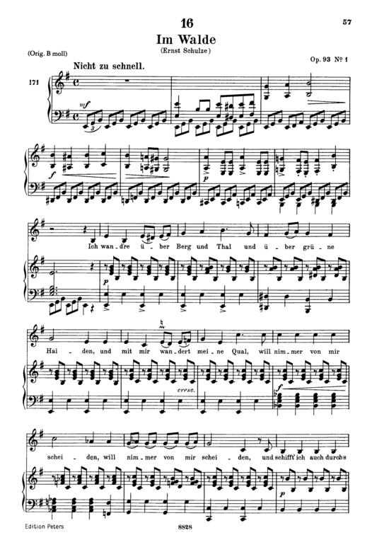 Im Walde D.834 (Gesang tief + Klavier) (Klavier  Gesang tief) von Franz Schubert