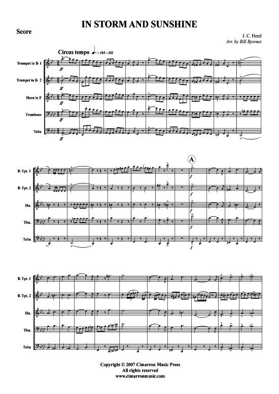 In Storm and Sunshine March (Blechbl auml serquintett) (Quintett (Blech Brass)) von J. C. Heed