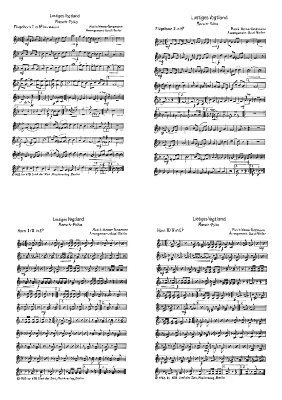 Lustiges Vogtland (Blasorchester) (Blasorchester) von Marsch-Polka