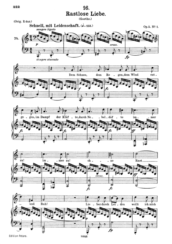 Rastlose Liebe D.138 (Gesang mittel + Klavier) (Klavier  Gesang mittel) von Franz Schubert