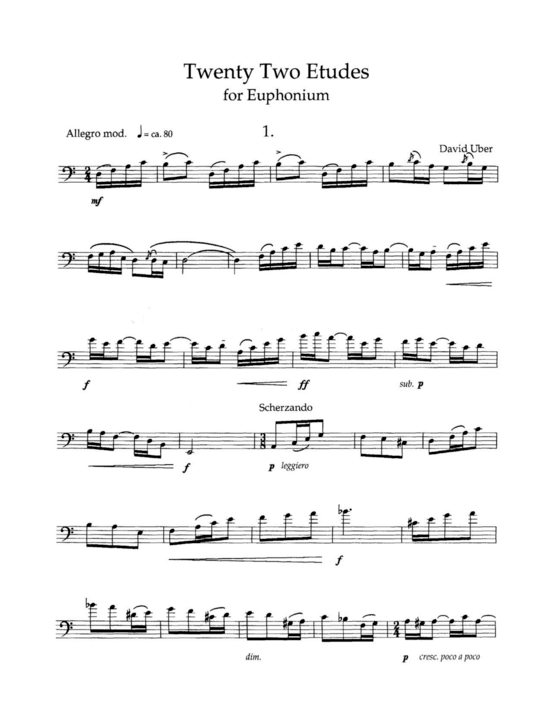 Twenty-Two Etudes (Euphonium Solo) (Euphonium (Solo)) von David Uber