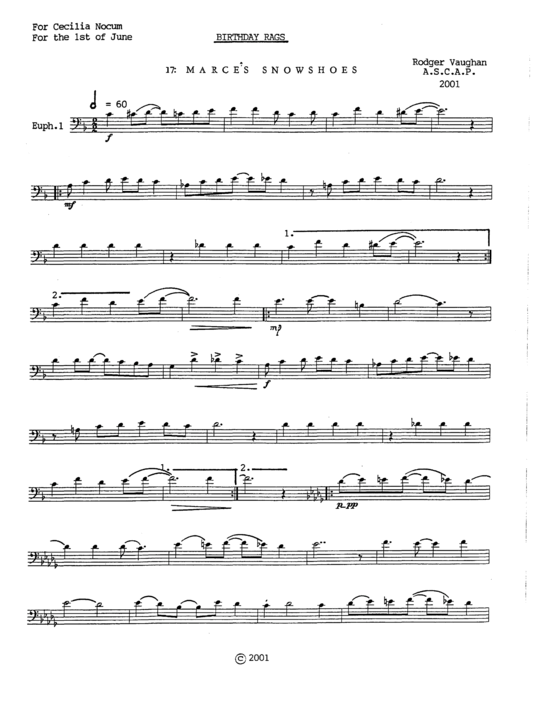 Two (More) Birthday Rags (Tuba Quartett EETT) (Quartett (Tuba)) von Rodger Vaughan