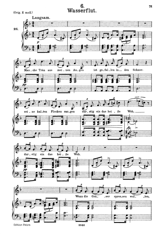 Wasserflut D.911-6 (Winterreise) (Gesang mittel + Klavier) (Klavier  Gesang mittel) von Franz Schubert