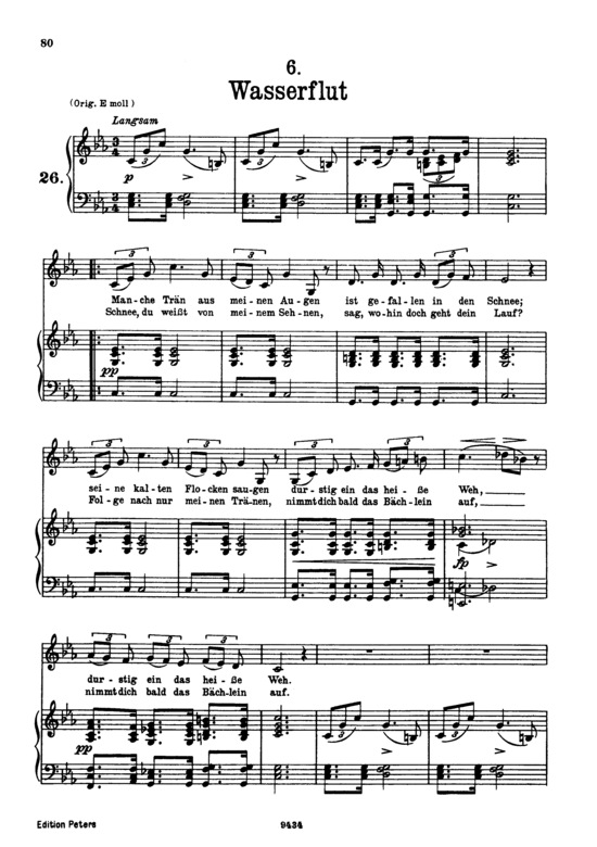 Wasserflut D.911-6 (Winterreise) (Gesang tief + Klavier) (Klavier  Gesang tief) von Franz Schubert