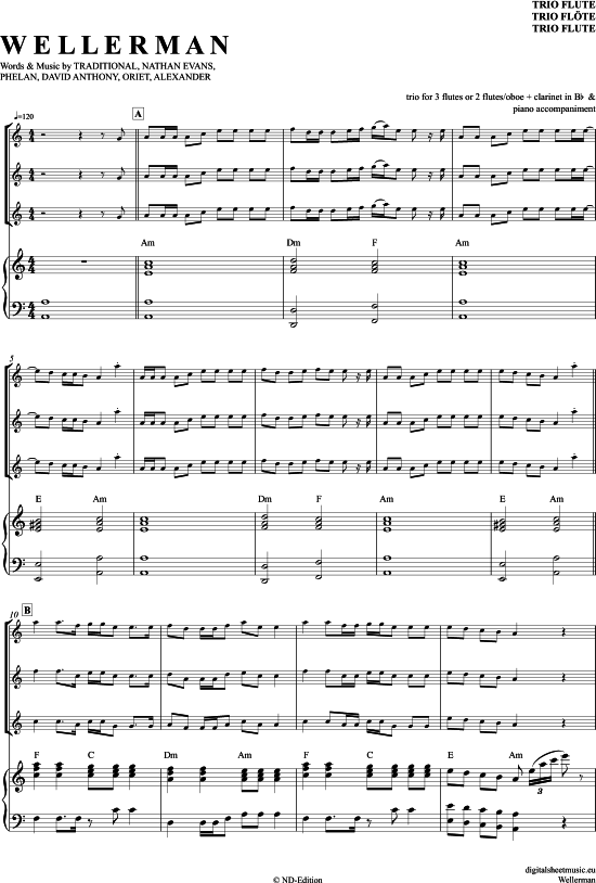 Wellerman (Sea Shanty) (Fl ten Trio + Klavier) (Trio (Fl te)) von Nathan Evans (Traditional aus Neuseeland)