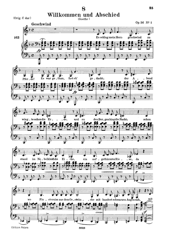 Willkomen und Abschied D.767 (Gesang tief + Klavier) (Klavier  Gesang tief) von Franz Schubert