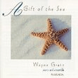 a gift of the sea piano solo wayne gratz