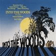 agony from into the woods vocal duet stephen sondheim