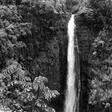 akaka falls ukulele helen parker