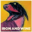 boy with a coin easy guitar iron & wine
