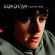 catch the wind easy guitar tab donovan