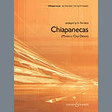 chiapanecas mexican clap dance violin 1 orchestra b. dardess