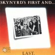 comin' home guitar tab lynyrd skynyrd