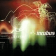 drive drums transcription incubus