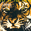 eye of the tiger easy guitar tab survivor