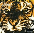 eye of the tiger viola solo survivor