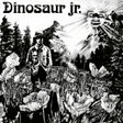 forget the swan guitar tab dinosaur jr.