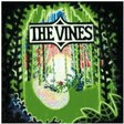 homesick guitar chords/lyrics the vines