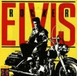 hound dog guitar chords/lyrics elvis presley