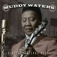 i'm a man piano, vocal & guitar chords right hand melody muddy waters