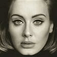 love in the dark piano, vocal & guitar chords adele