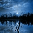 moonlight in vermont clarinet solo karl suessdorf