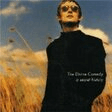 national express piano, vocal & guitar chords the divine comedy