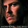 never let down guitar tab andrew w.k.