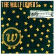 one headlight easy piano the wallflowers