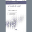 red is the rose arr. richard burchard satb choir traditional irish