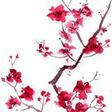 sakura cherry blossoms easy piano japanese folksong
