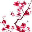 sakura cherry blossoms piano solo japanese folksong