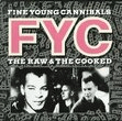 she drives me crazy alto sax solo fine young cannibals