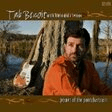 shelter me guitar tab tab benoit