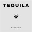 tequila easy guitar tab dan + shay