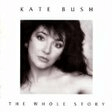the man with the child in his eyes piano, vocal & guitar chords kate bush