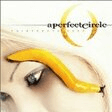 the nurse who loved me guitar tab a perfect circle